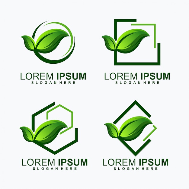 Leaf bundle logo Vector | Premium Download