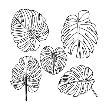 Premium Vector | Leaf flowers outline vector bundle