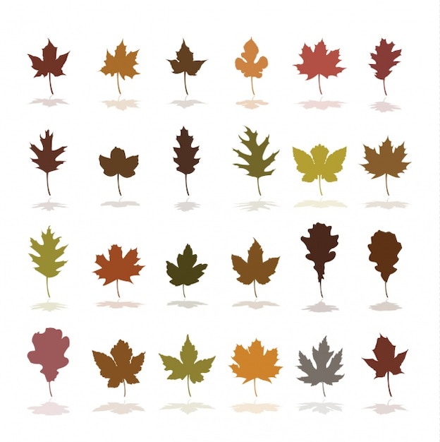 Download Free Vector | Leaf icon collection
