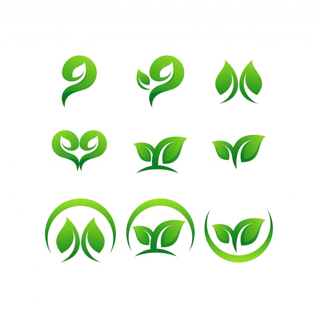 Leaf logo bundle | Premium Vector
