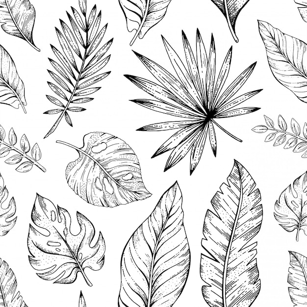 葉のシームレスなパターン シュロの葉の背景 花のテクスチャです 黒と白の熱帯植物 自然な線画 ジャングルの壁紙イラスト エキゾチックな夏のプリント プレミアムベクター