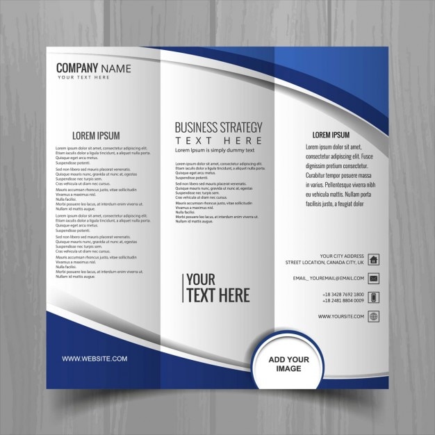 Leaflet with blue shapes, three sections Vector | Free Download