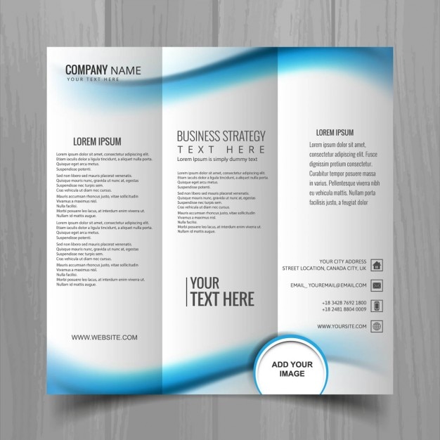 Free Vector | Leaflet with three parts and blue wavy lines