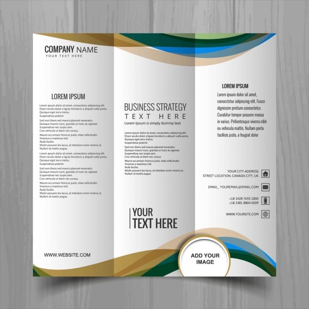 Leaflet with wavy forms, three sections Vector | Free Download