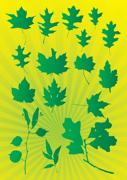 Leafs Vector Graphics