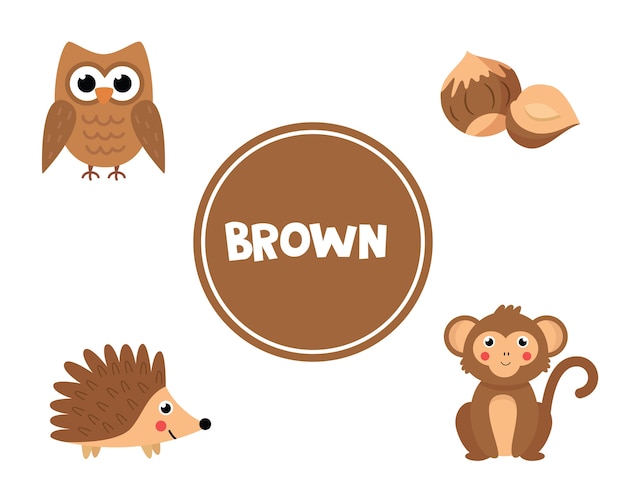 Premium Vector Learning colors for kids brown color different