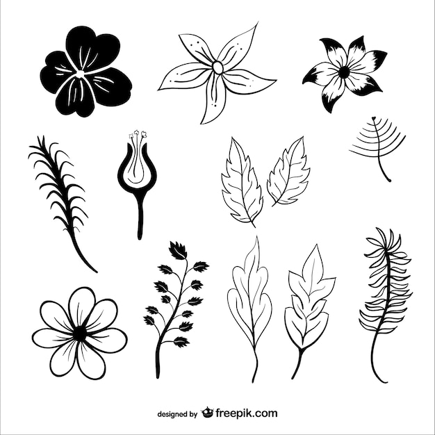 Download Leaves and flowers silhouettes Vector | Free Download