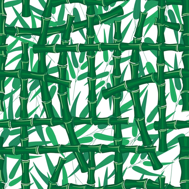 Leaves branches stem bamboo pattern texture on white background Premium Vector