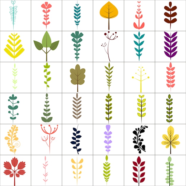 Leaves design collection | Free Vector