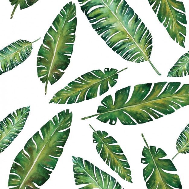 Free Vector | Leaves pattern design