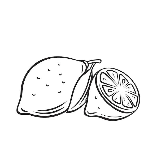 レモンフルーツのアウトラインアイコン モノクロイラストを描画します 健康的な栄養 有機食品 ベジタリアン製品 プレミアムベクター