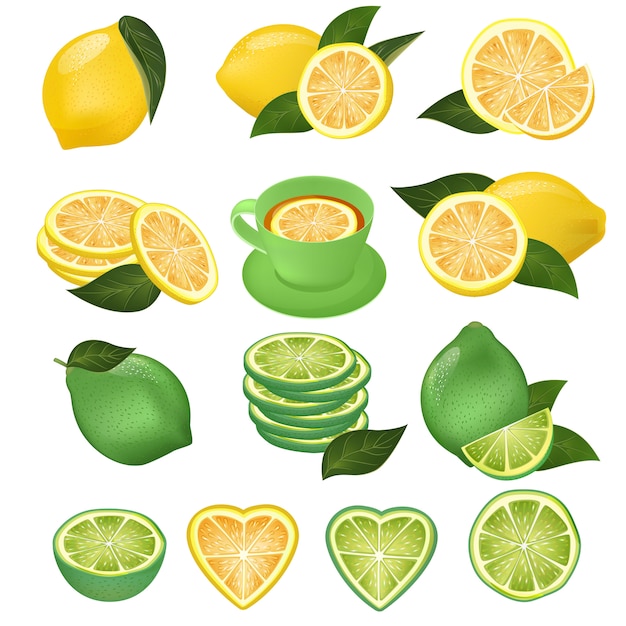 Lemon vector green lime and lemony sliced yellow citrus fruit and fresh juicy lemonade illustration 