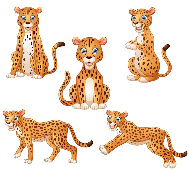 Premium Vector Leopard cartoon set collection