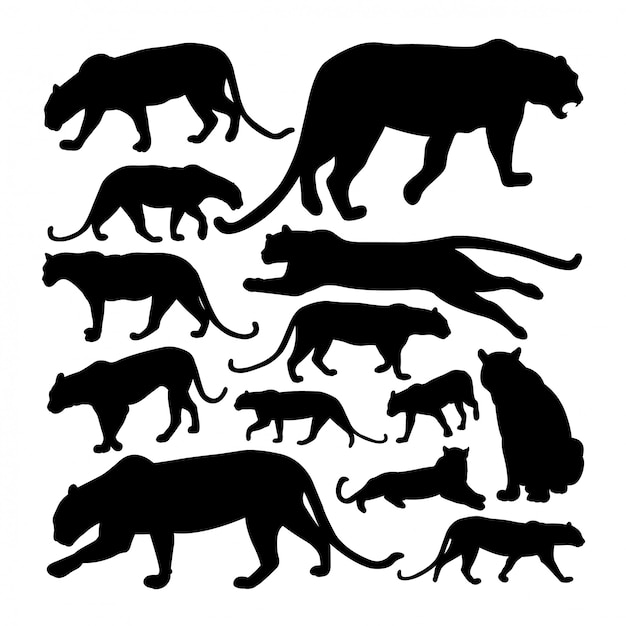 Premium Vector Leopard Predator Animal Silhouettes