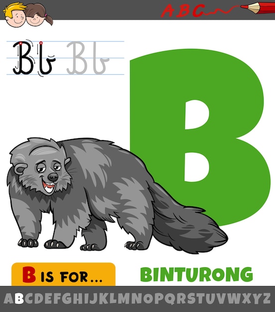 만화 Binturong 동물 캐릭터와 알파벳에서 문자 B | 프리미엄 벡터