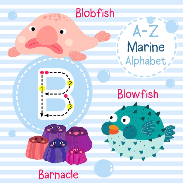 Letter B Sea Alphabet | Premium Vector