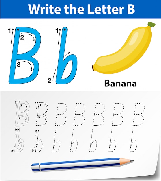 premium vector letter b tracing alphabet worksheets