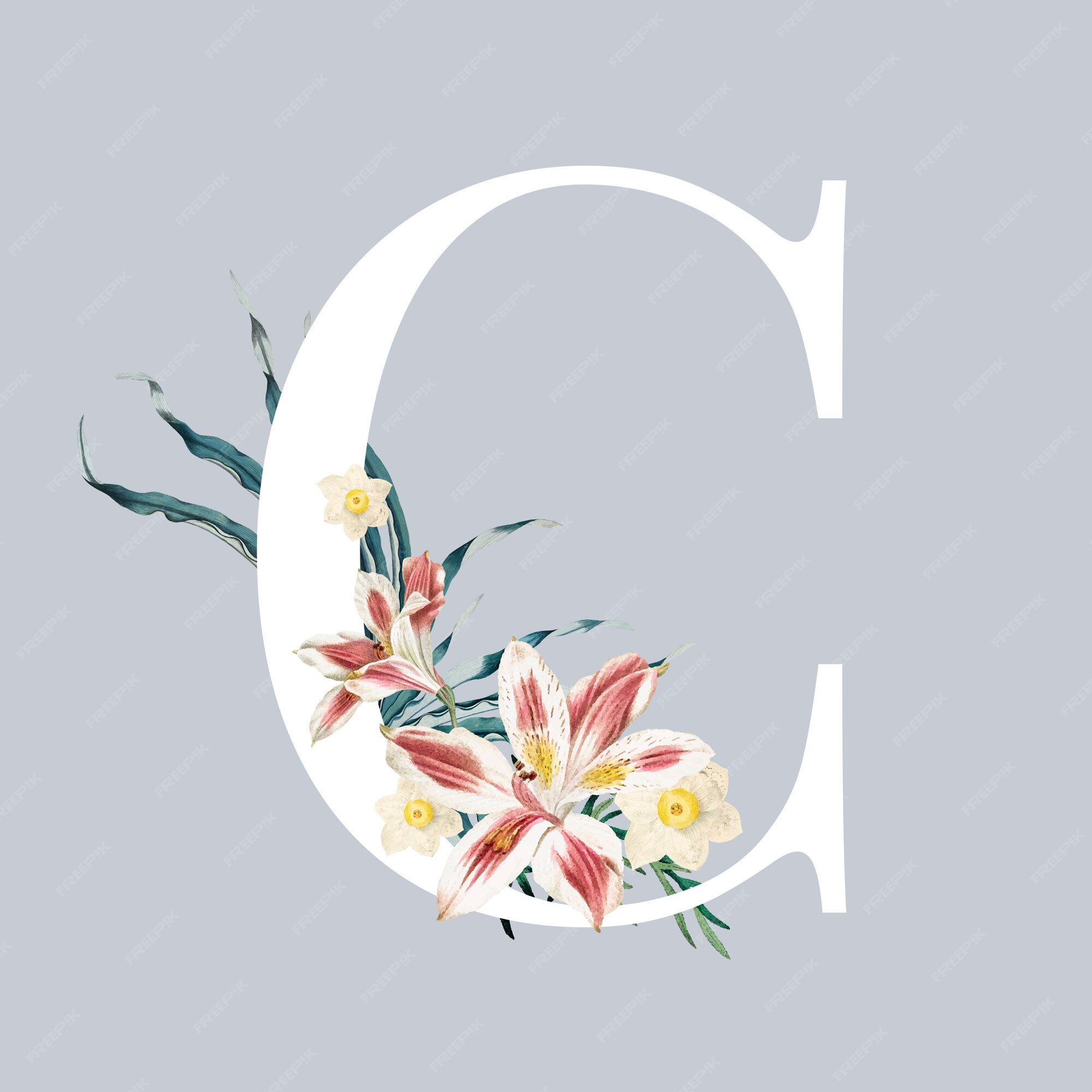 Free Vector | Letter c with blossoms