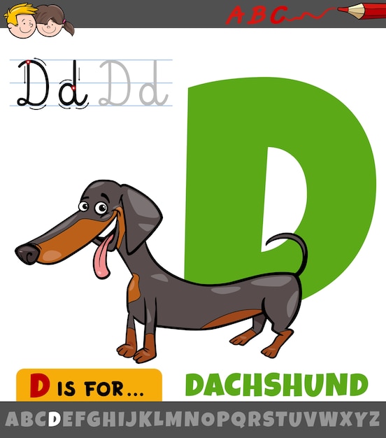 Premium Vector | Letter d worksheet with cartoon dachshund dog