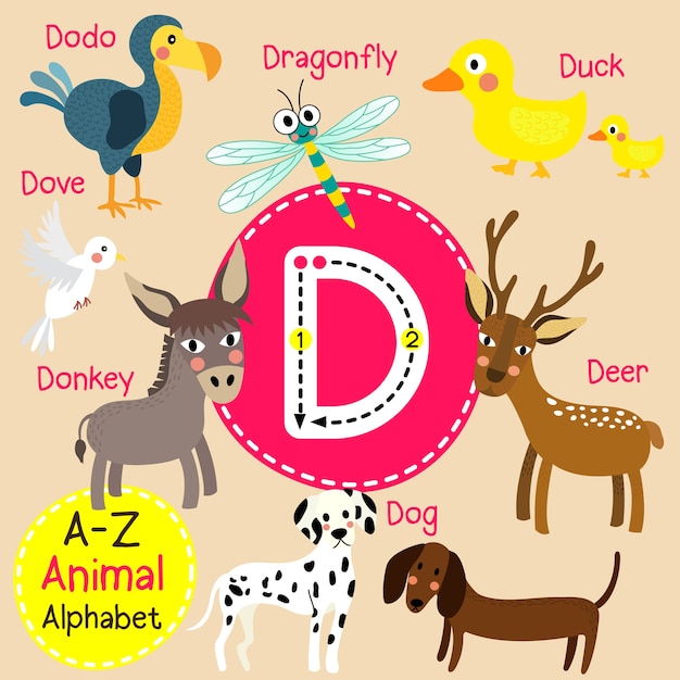 Cute Animals Alphabet Letter D - Free Template PPT Premium Download 2020