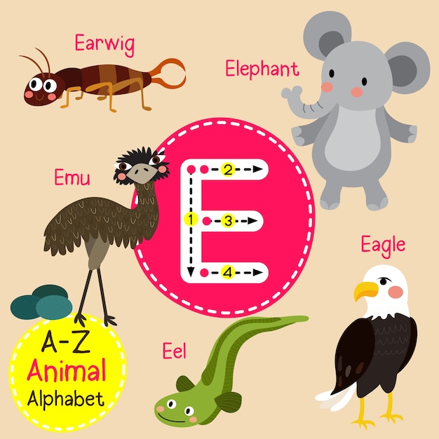 Premium Vector | Letter e zoo alphabet