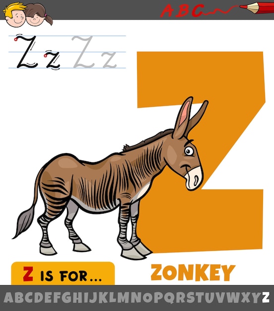 Premium Vector | Letter From Alphabet With Cartoon Zonkey Animal Character