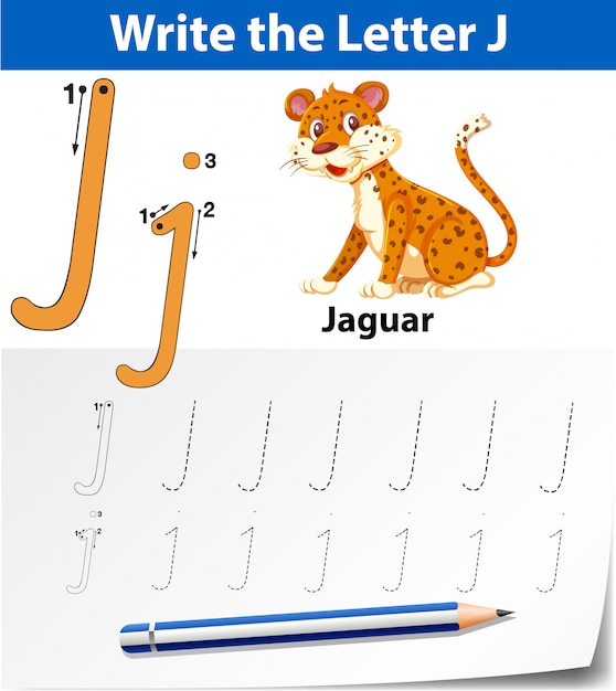 letter j tracing alphabet worksheets vector premium download