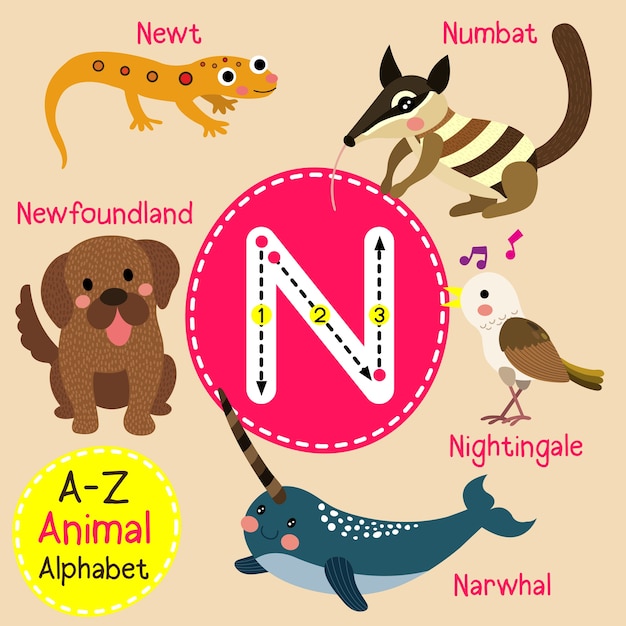 premium-vector-letter-n-zoo-alphabet