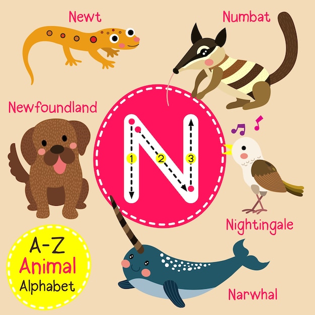 Premium Vector | Letter n zoo alphabet