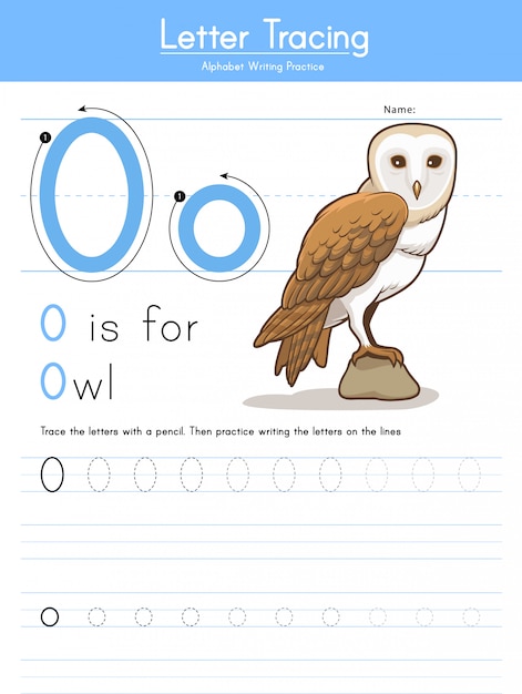 Premium Vector | Letter o tracing animal alphabet o for owl