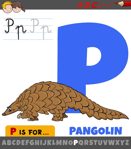 パンゴリン動物のキャラクターとアルファベットからの文字p プレミアムベクター