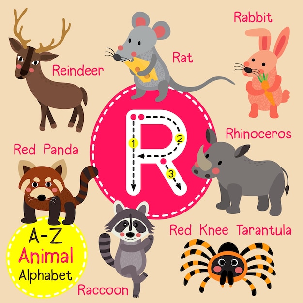 Letter r zoo alphabet | Premium Vector