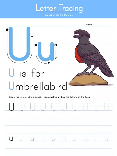 premium-vector-letter-u-tracing-animal-alphabet-u-for-umbrellabird