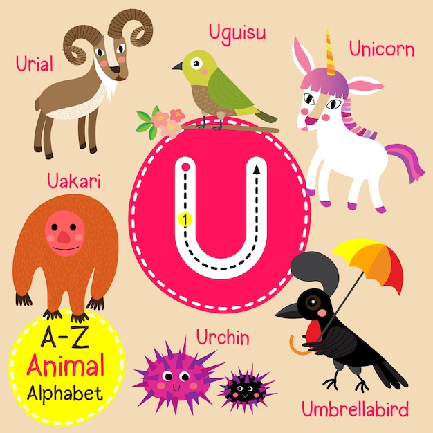 A Animal That Starts With The Letter U - Animal West