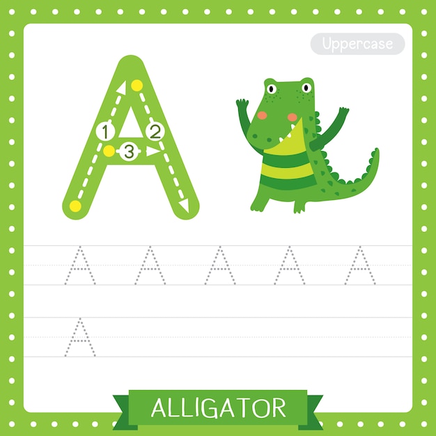 Premium Vector | Letter a uppercase tracing practice worksheet. alligator