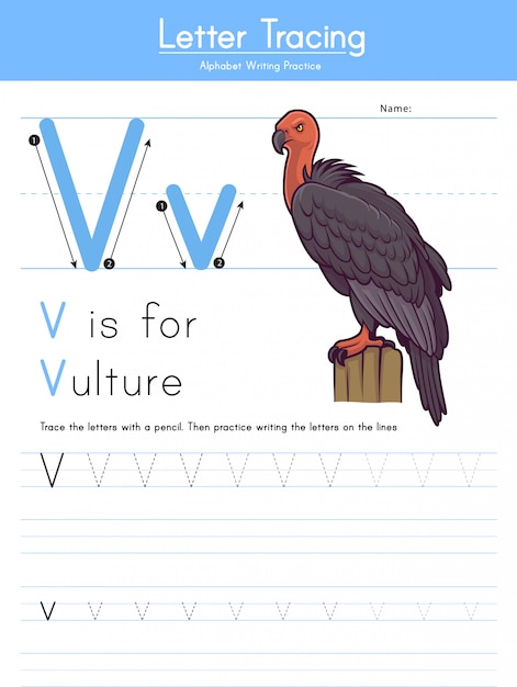 Premium Vector | Letter v tracing animal alphabet v for vulture