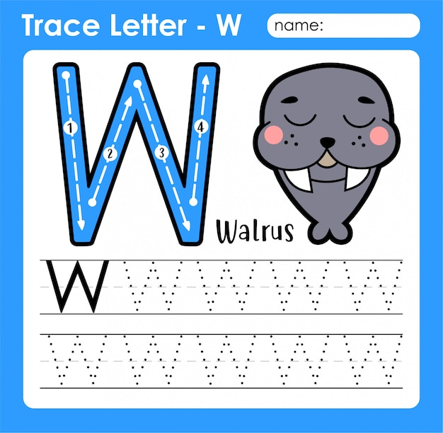 Letter w uppercase  alphabet letters tracing worksheet with walrus  Premium Vector