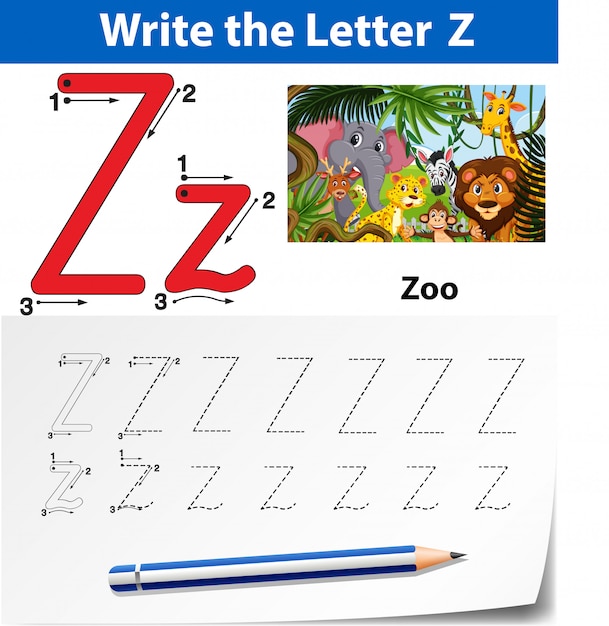 premium vector letter z tracing alphabet worksheets