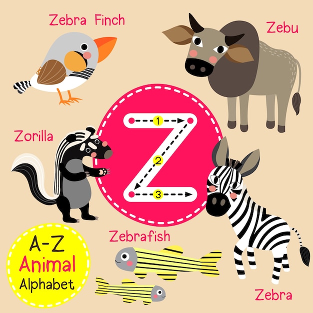 Premium Vector | Letter z zoo alphabet
