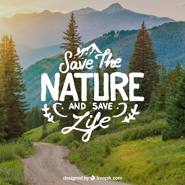 Lettering and quote design on beautiful nature
background