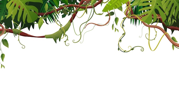 熱帯の葉を持つつる植物またはつるの曲がりくねった枝 ジャングル熱帯つる植物 プレミアムベクター