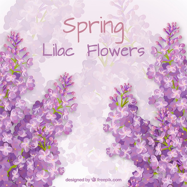 Download Lilac flowers card Vector | Free Download