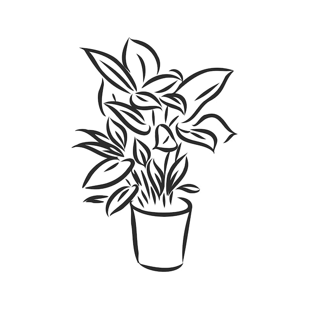 Premium Vector | Line art plant in pot indoor plant vector sketch on a ...