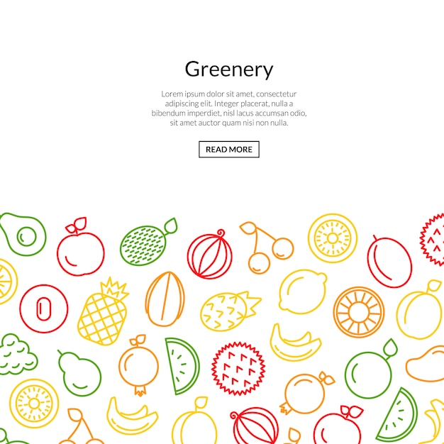 Line fruits icons  colored style Premium Vector