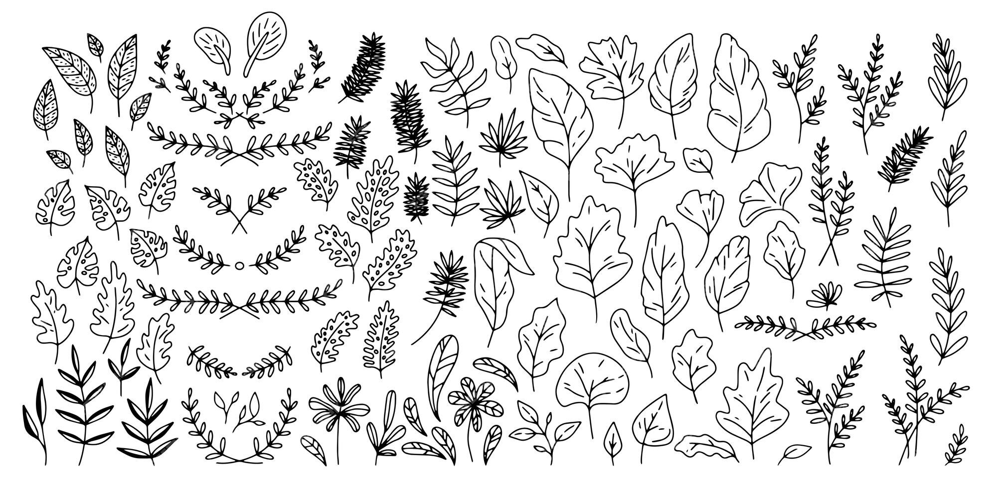 Premium Vector | Line leaves big set outline leaf elements floral ...