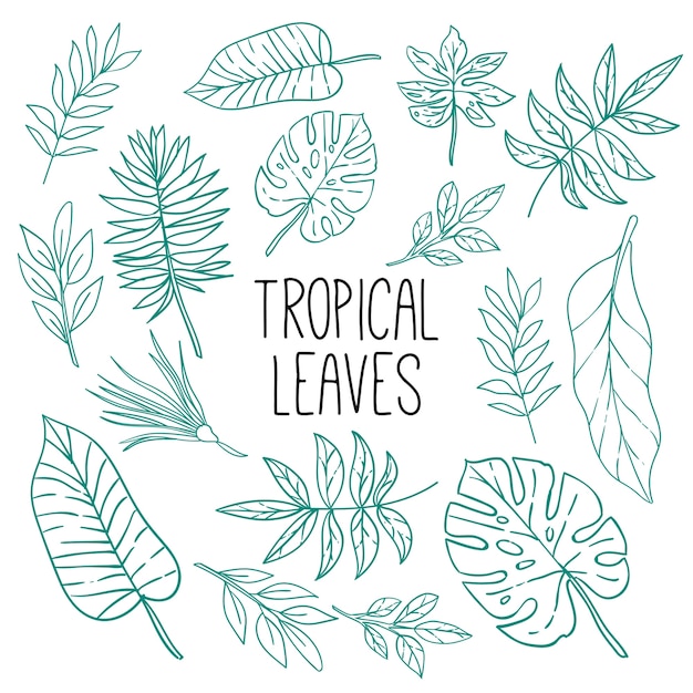 Premium Vector Lineart Tropical Leaf Pattern