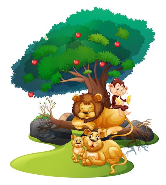Download Lion family and monkey in forest | Premium Vector
