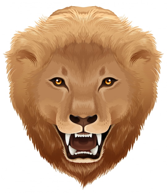 Free Free 201 Lion Svg Commercial Use SVG PNG EPS DXF File