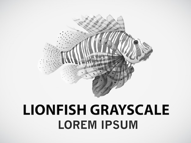 Download Lionfish | Free Vector