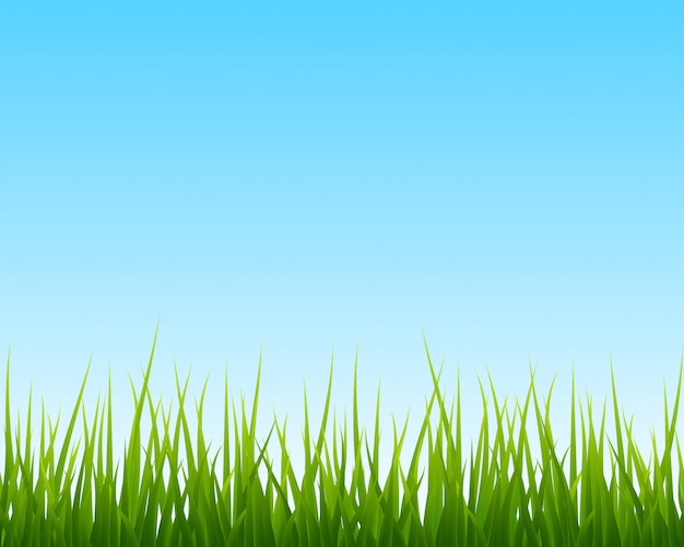 Premium Vector | Little green grass, blue sky seamless background